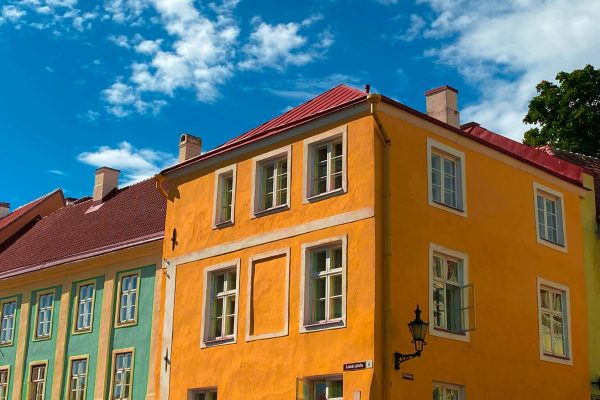 nayeli-ortiz-fiqm05bPTsM-unsplash